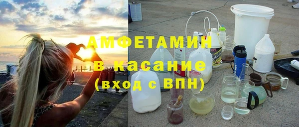 мет Алексин
