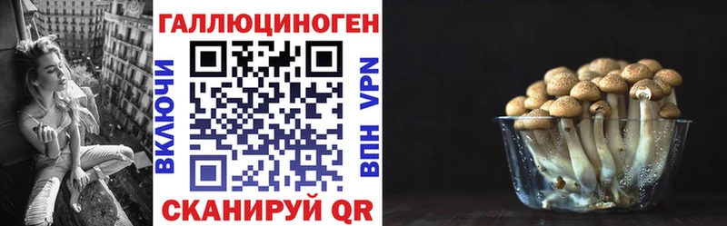 блэк спрут зеркало Нефтегорск Галлюциногенные грибы мицелий